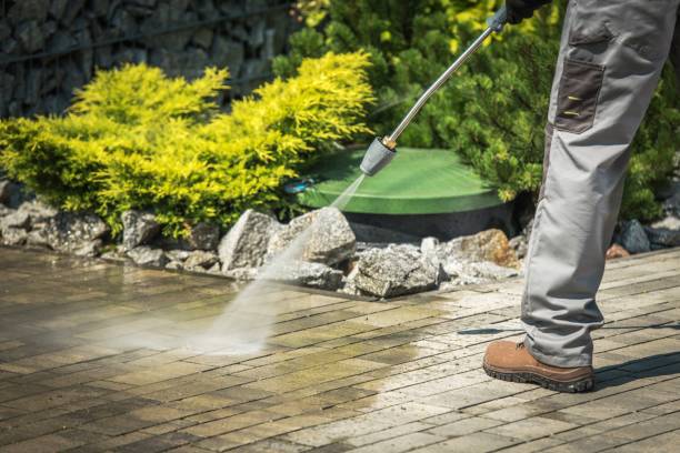 Best Animal Enclosure Cleaning  in Rawlins, WY